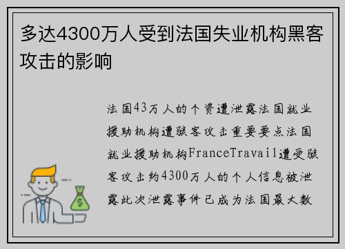 多达4300万人受到法国失业机构黑客攻击的影响 
